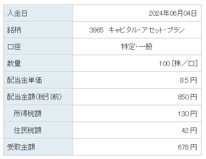 202406_キャピタル・アセット・プラン