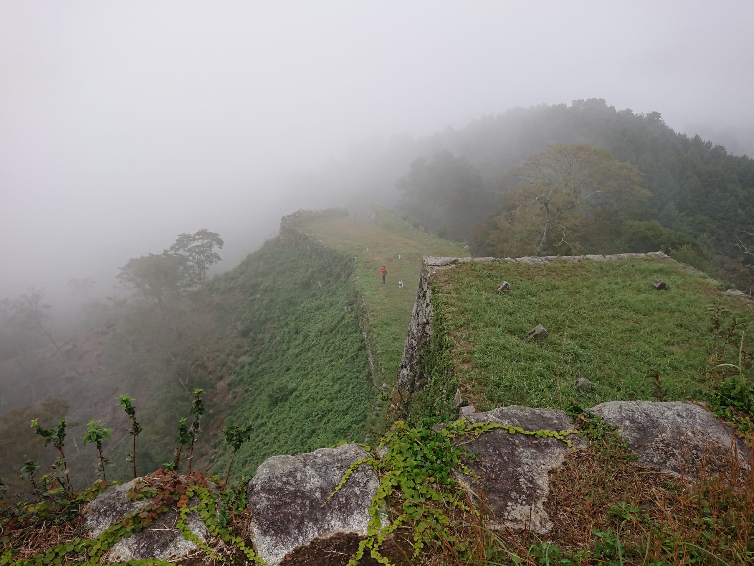 20191021_津和野城跡