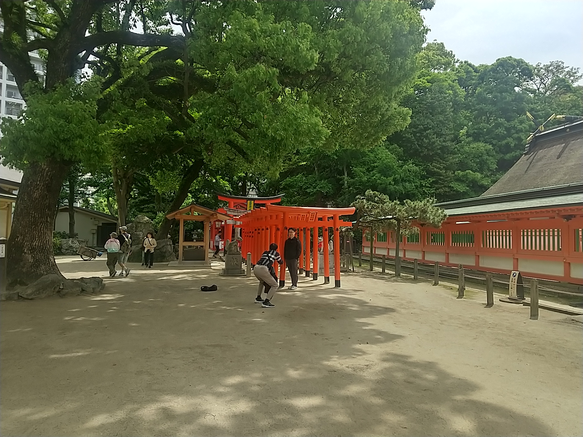 20240502_住吉神社