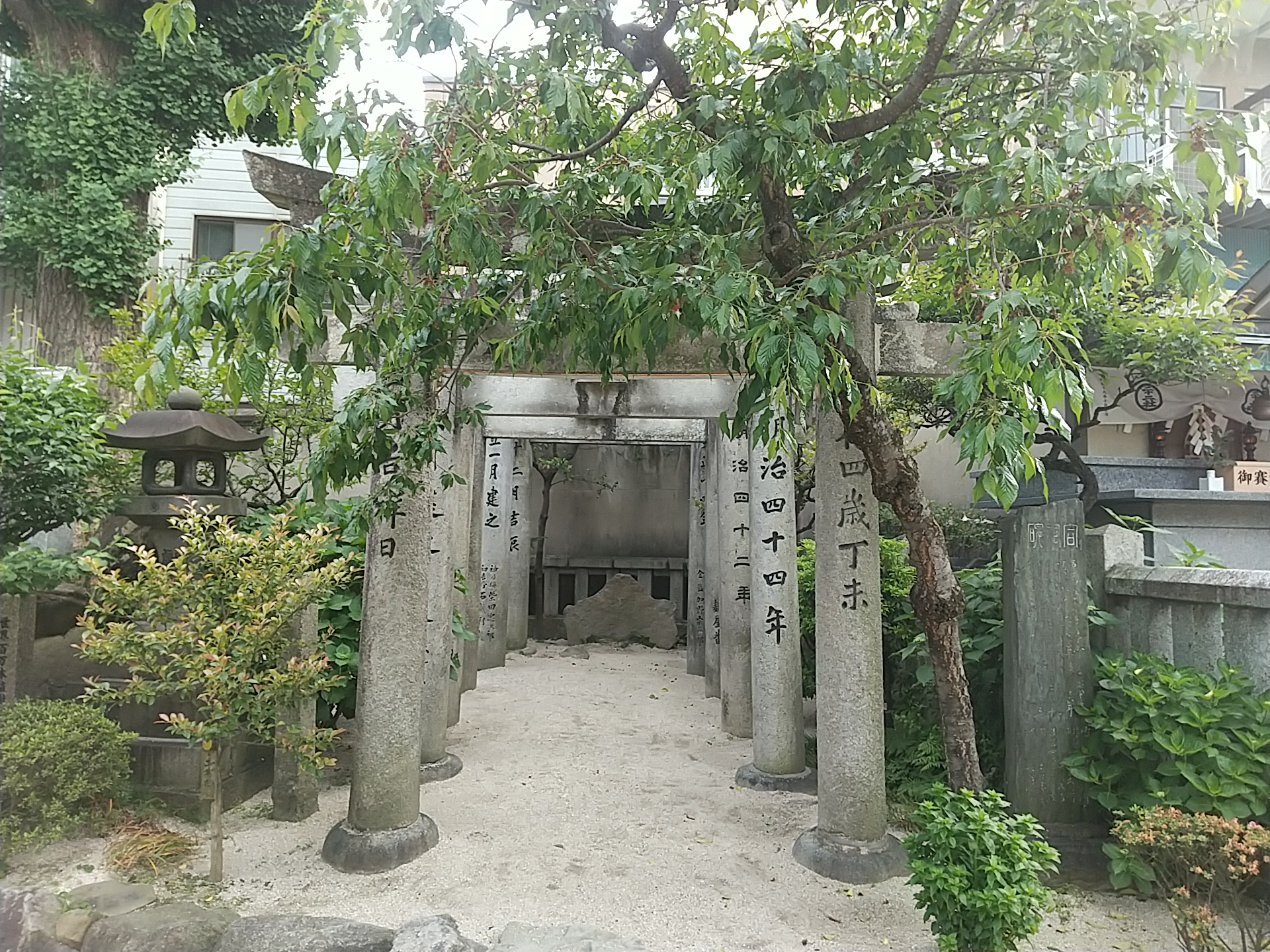 20240502_櫛田神社