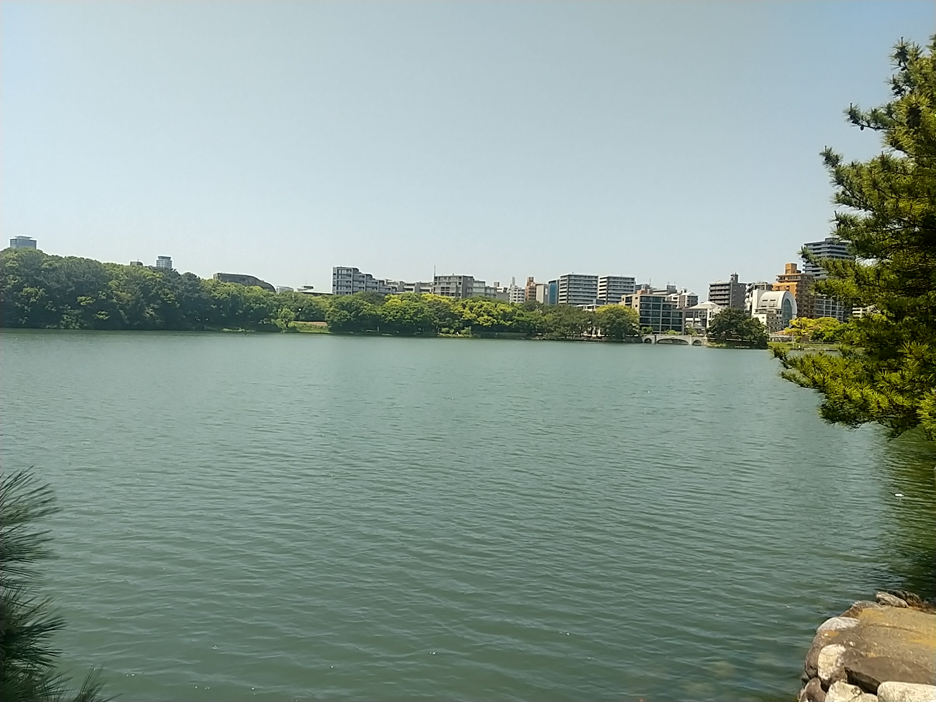 20240503_大濠公園