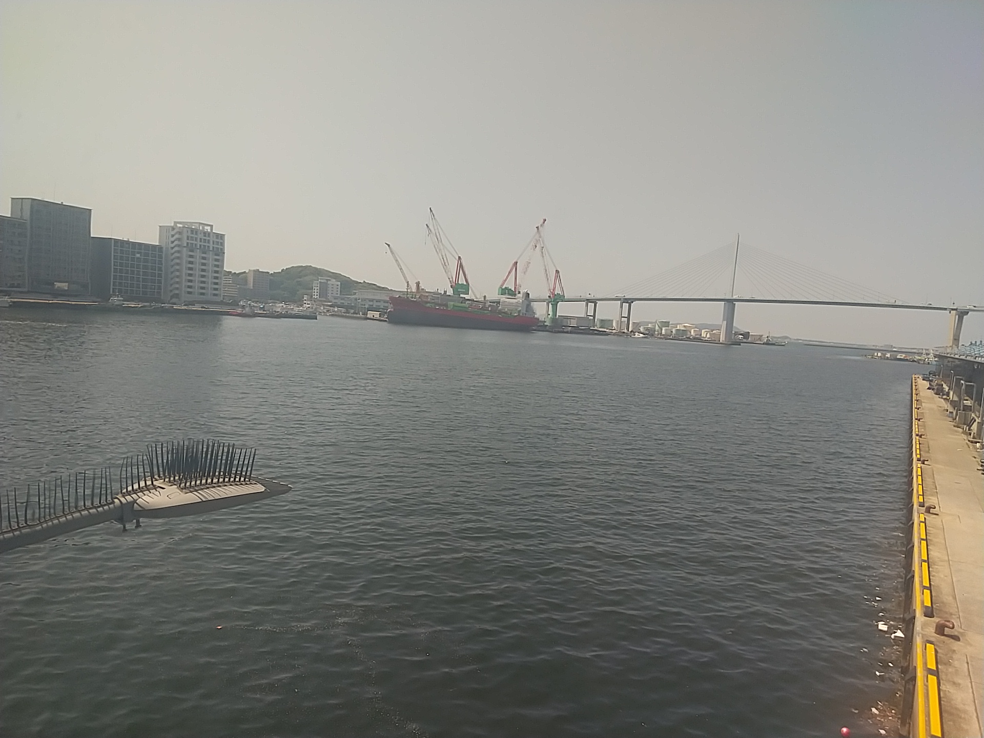 20240503_長浜鮮魚市場