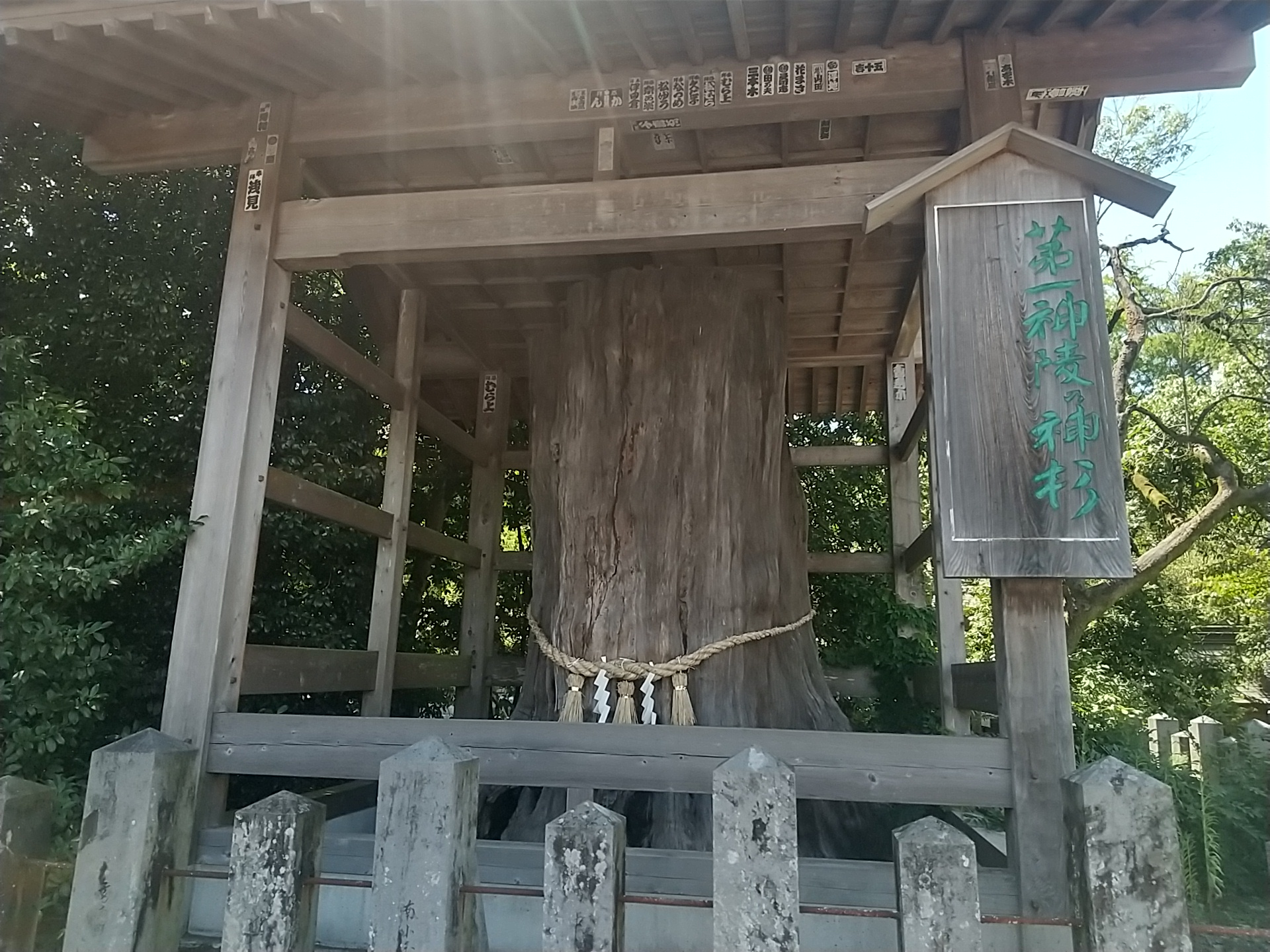 20240803_阿蘇神社