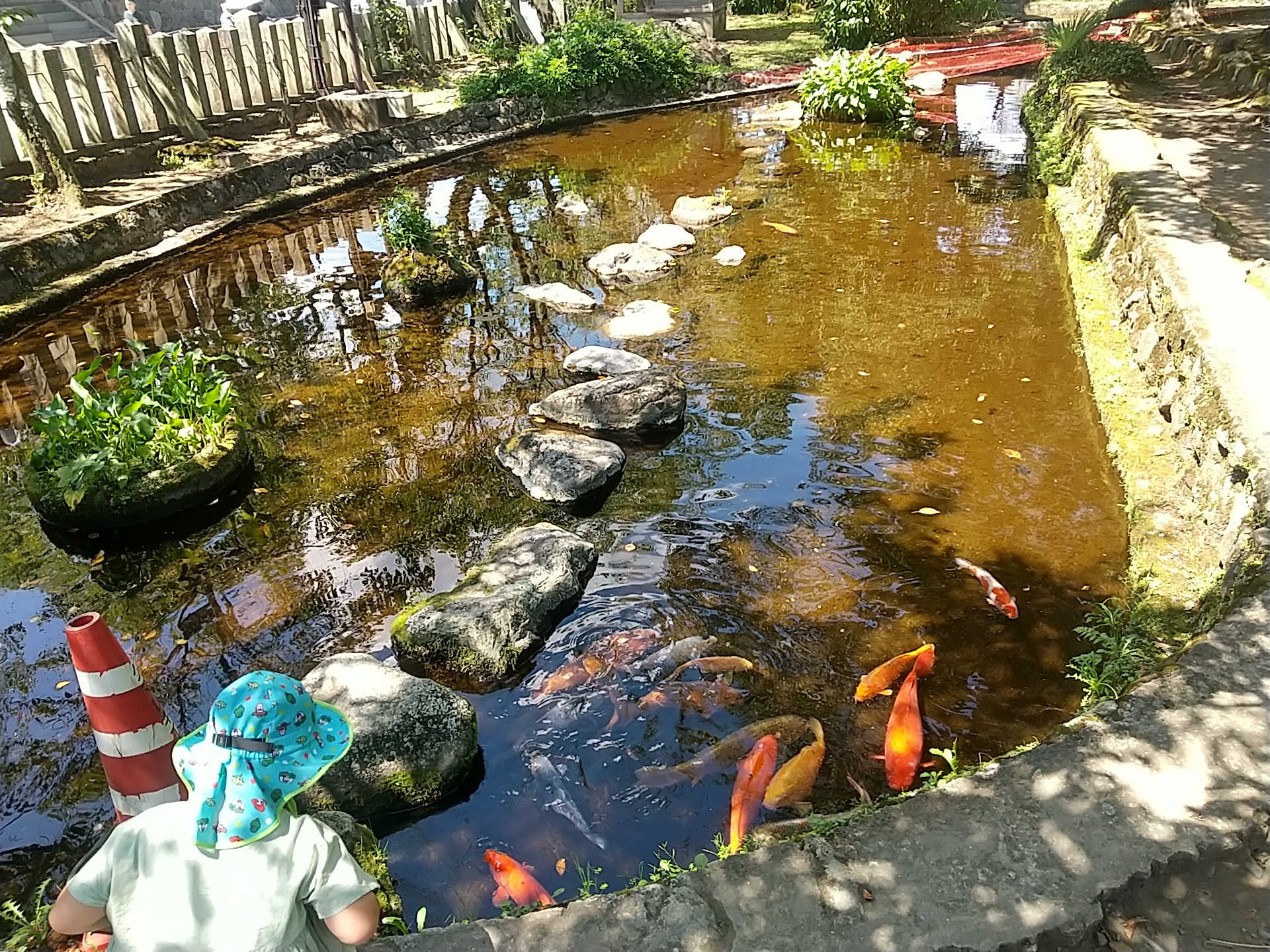 20240803_阿蘇神社