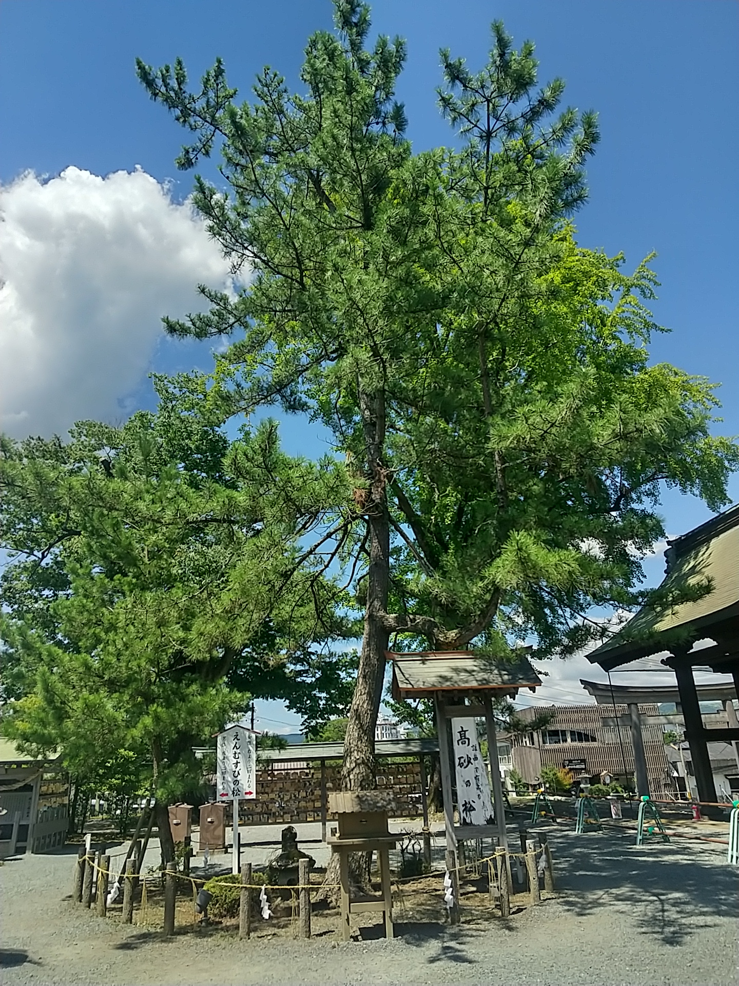 20240803_阿蘇神社