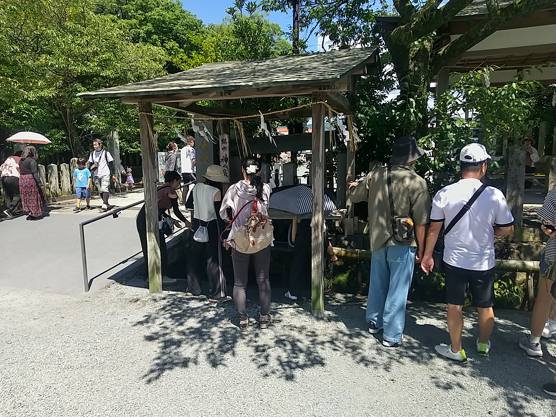 20240803_阿蘇神社