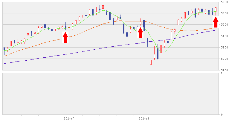 202408_月間報告