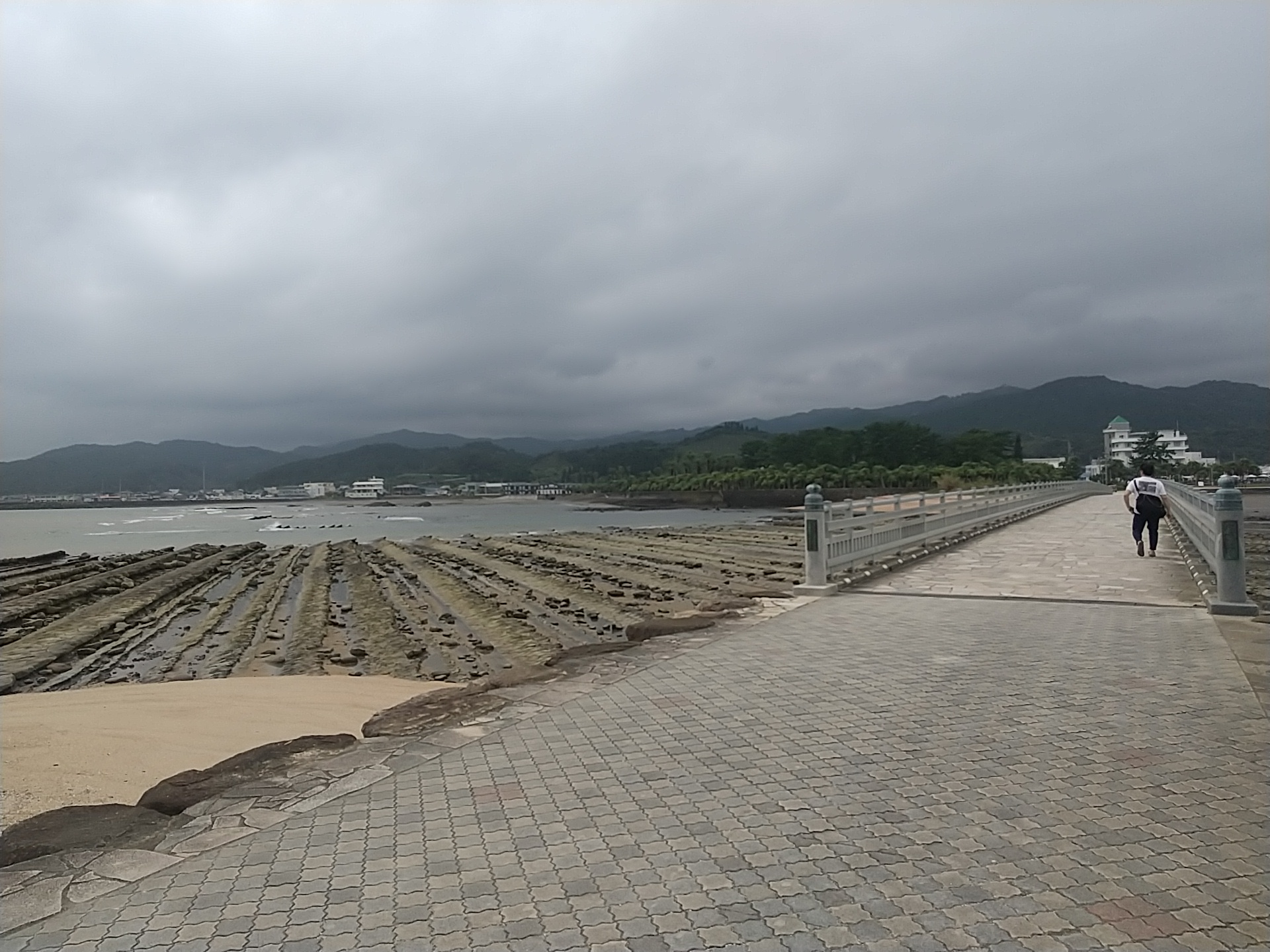 20240905_青島