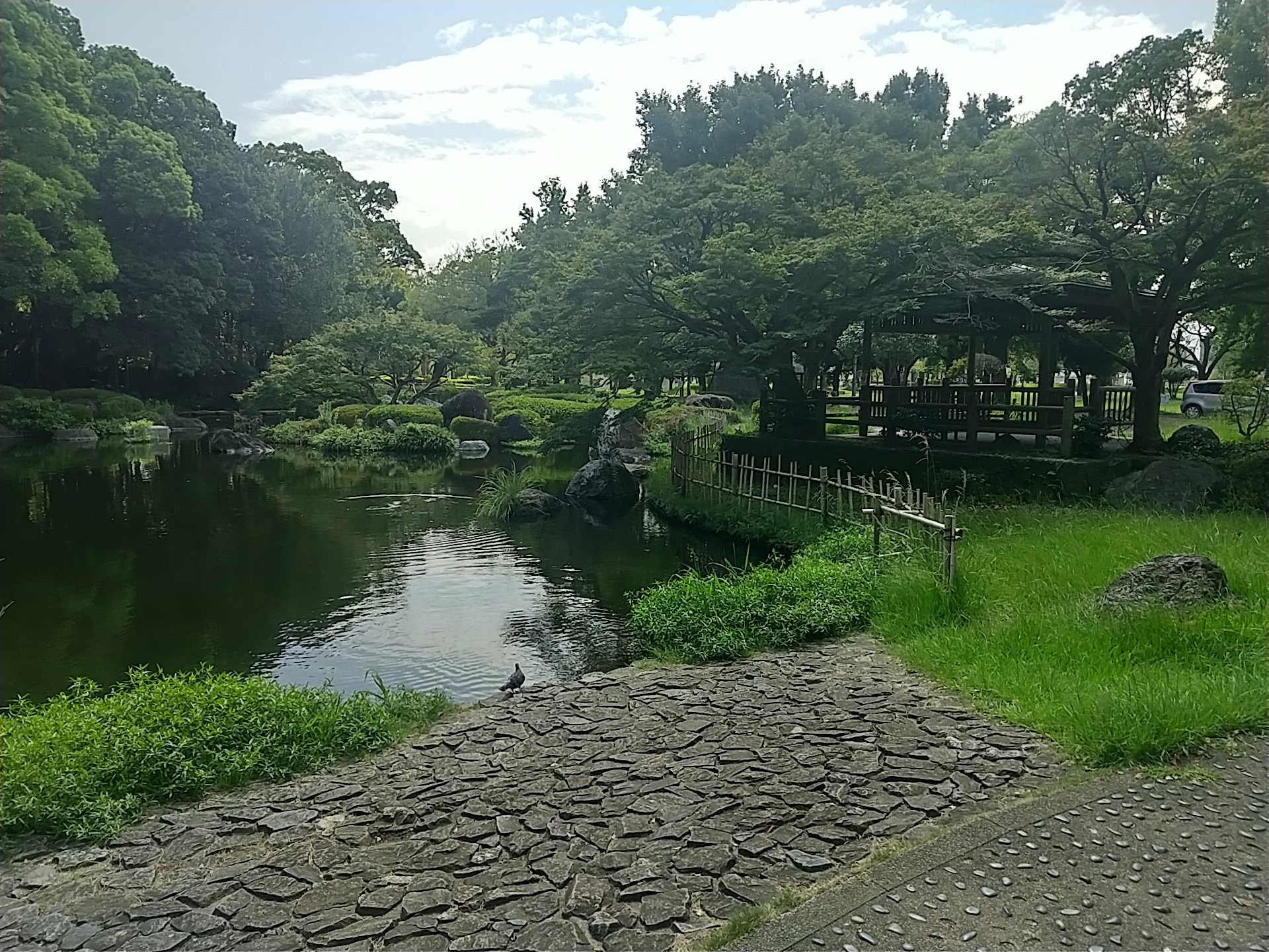 20240905_宮崎中央公園（文化の森）