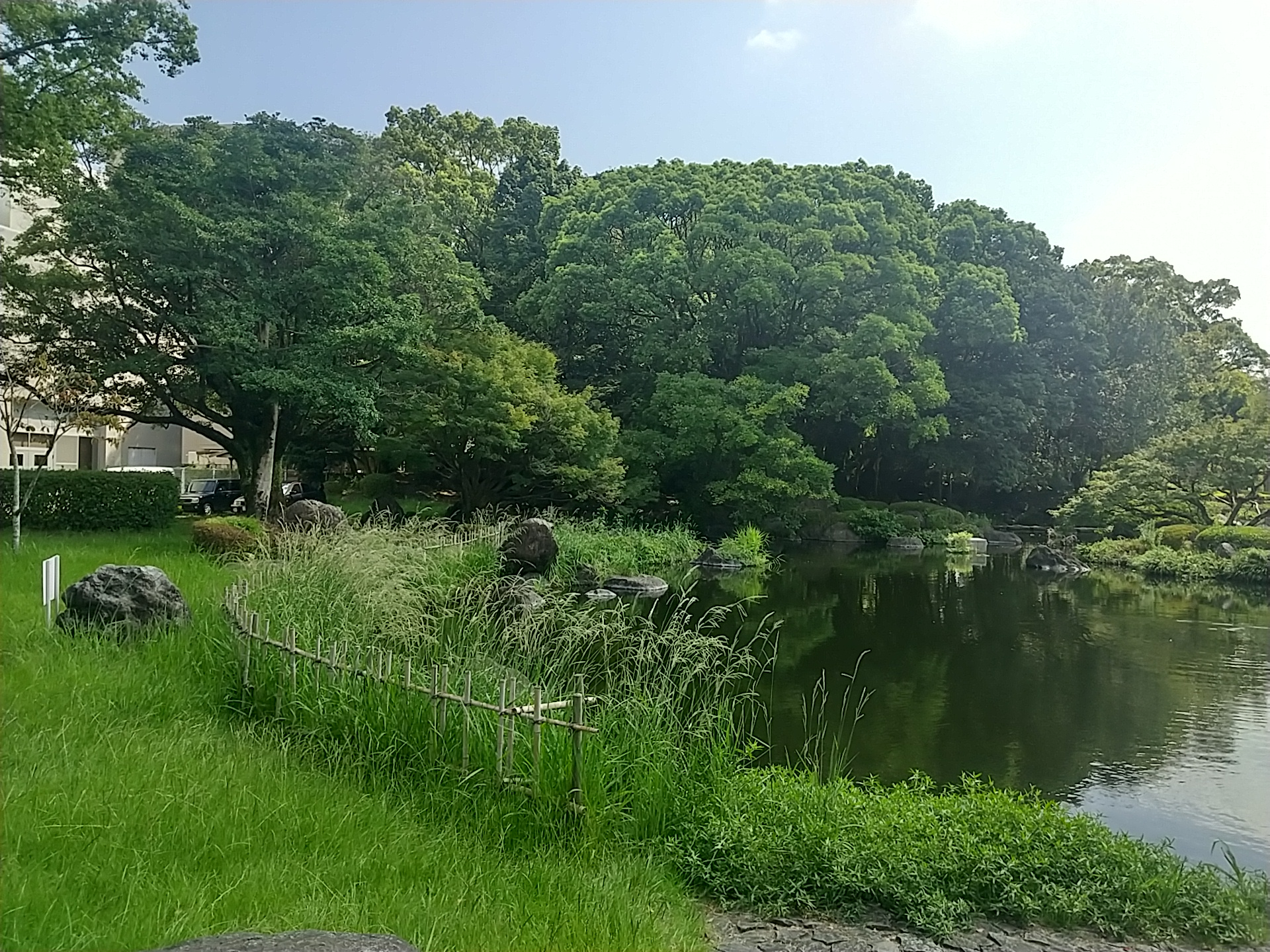 20240905_宮崎中央公園（文化の森）