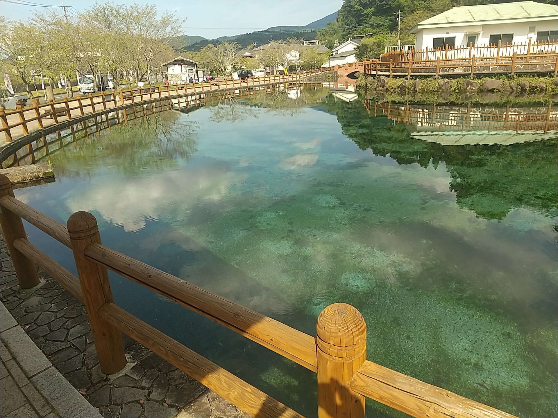 20240906_霧島山麓湧水