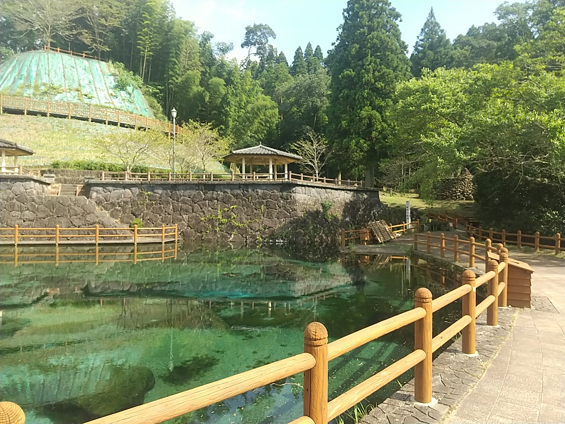 20240906_霧島山麓湧水