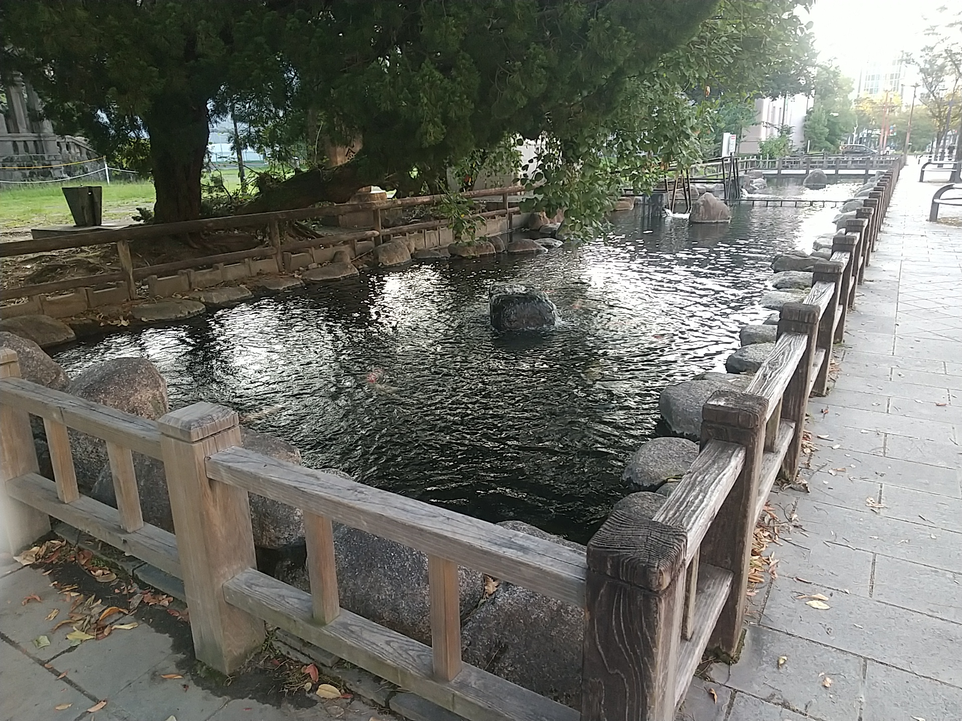 20240907_旧鹿児島県立博物館-考古資料館