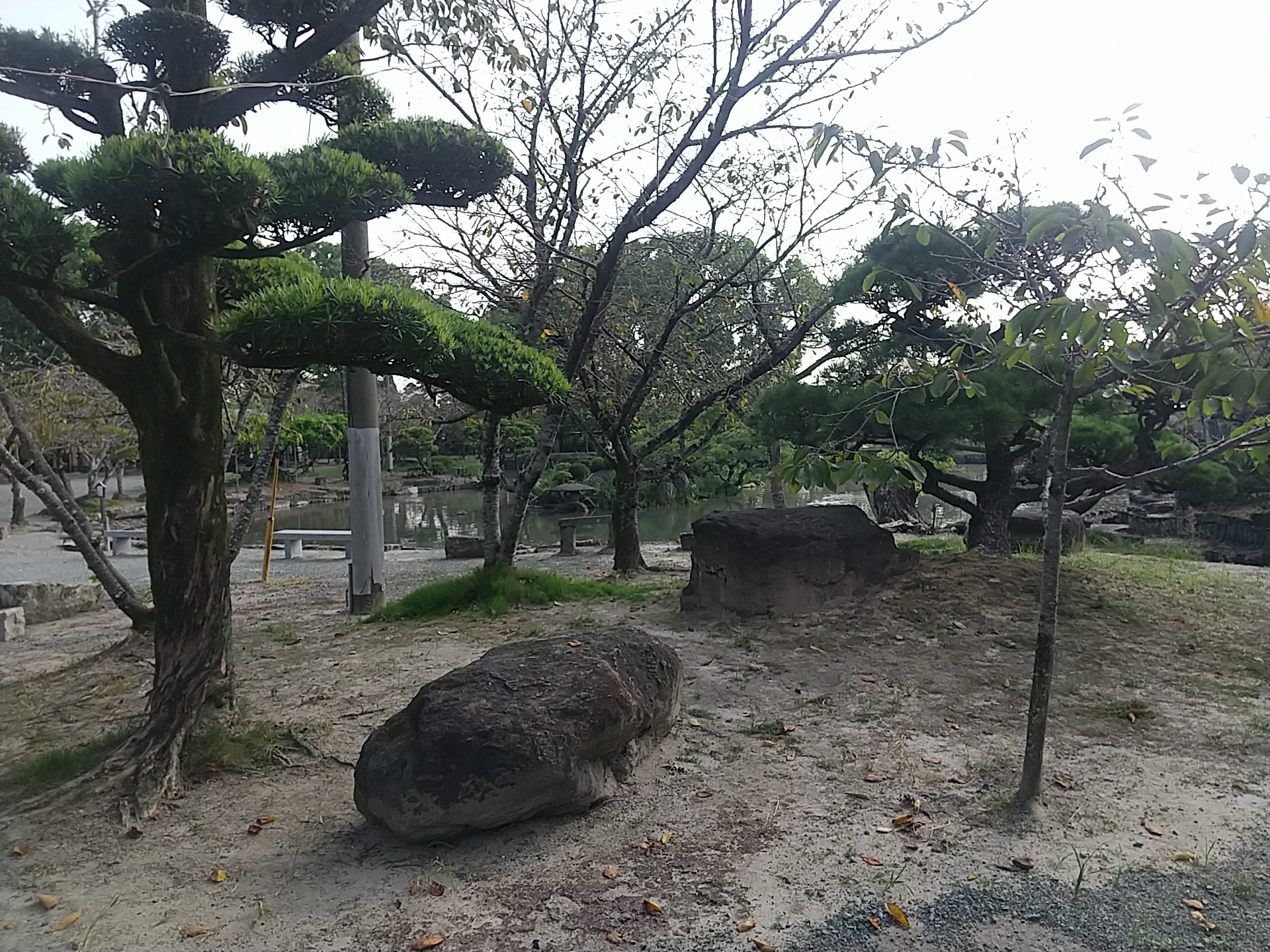 20241001_三柱神社