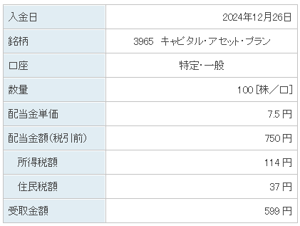 202412_キャピタル・アセット・プラン