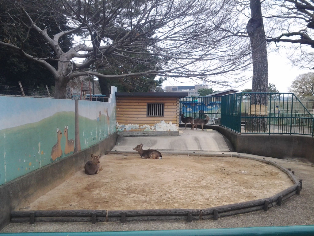 20141224_和歌山公園動物園