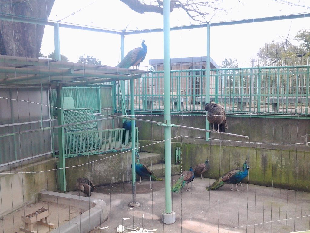 20141224_和歌山公園動物園