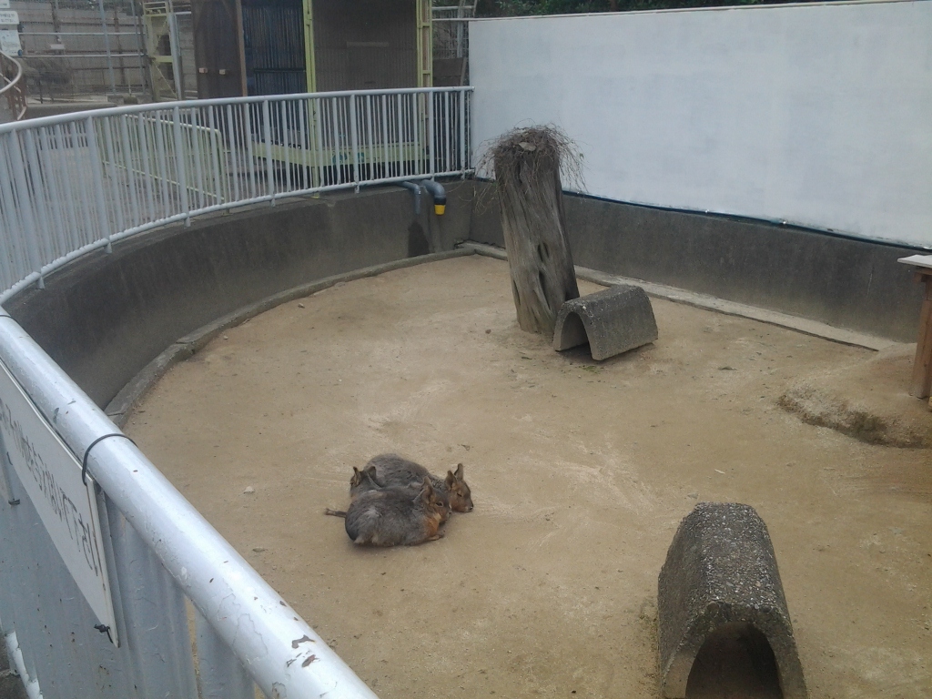 20141224_和歌山公園動物園