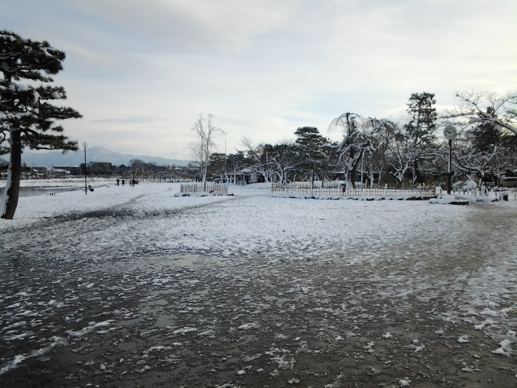 20150102_嵐山公園 中之島地区