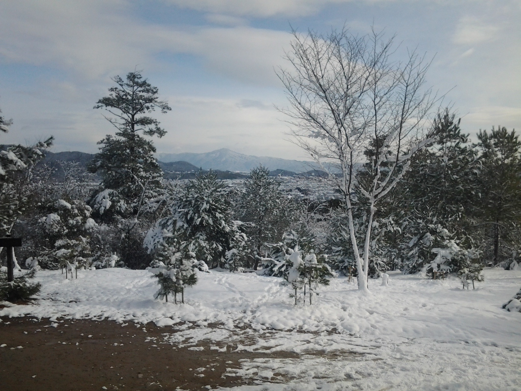 20150102_嵐山公園亀山地区 頂上展望台