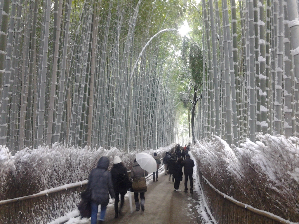 20150102_嵐山竹林の小径