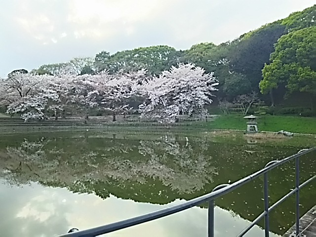 20150409_花博記念公園鶴見緑地
