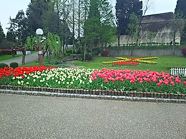 20150409_花博記念公園鶴見緑地
