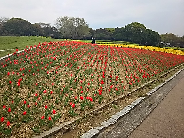 20150409_花博記念公園鶴見緑地