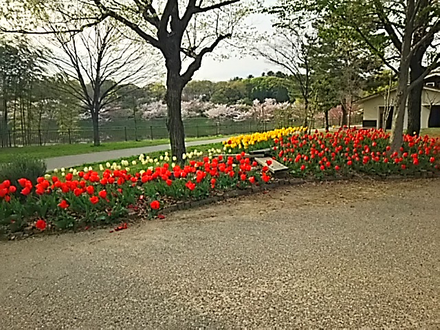 20150409_花博記念公園鶴見緑地