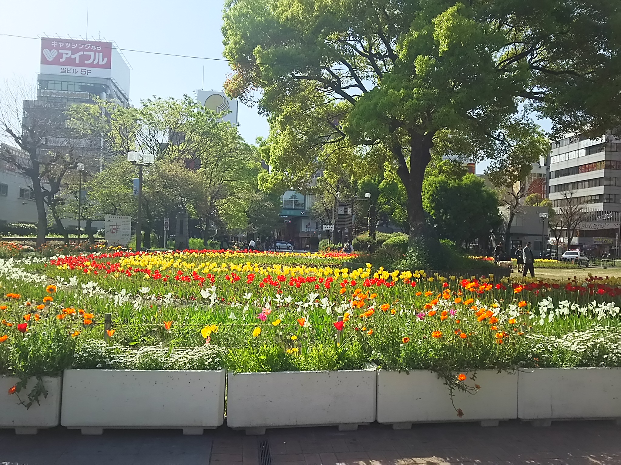 20150417_中央公園