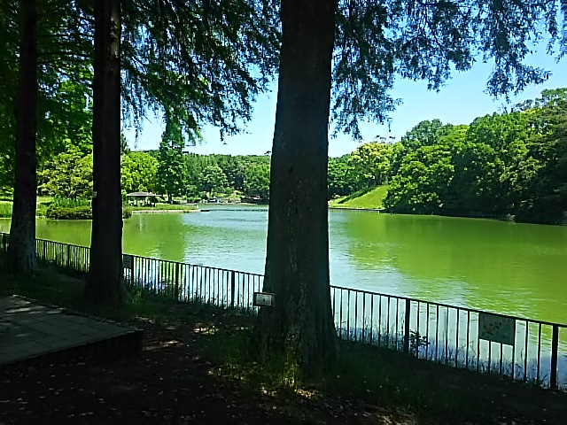 20170519_千里南公園