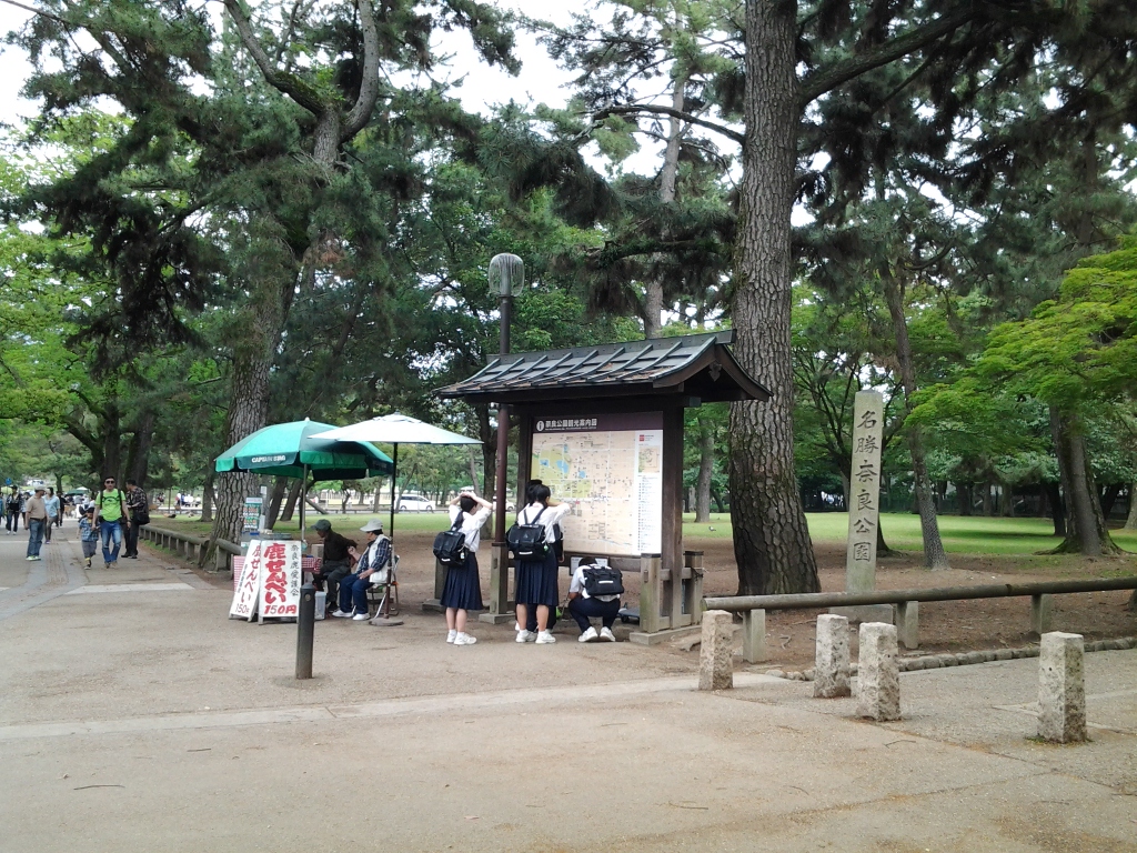 20140527_奈良公園