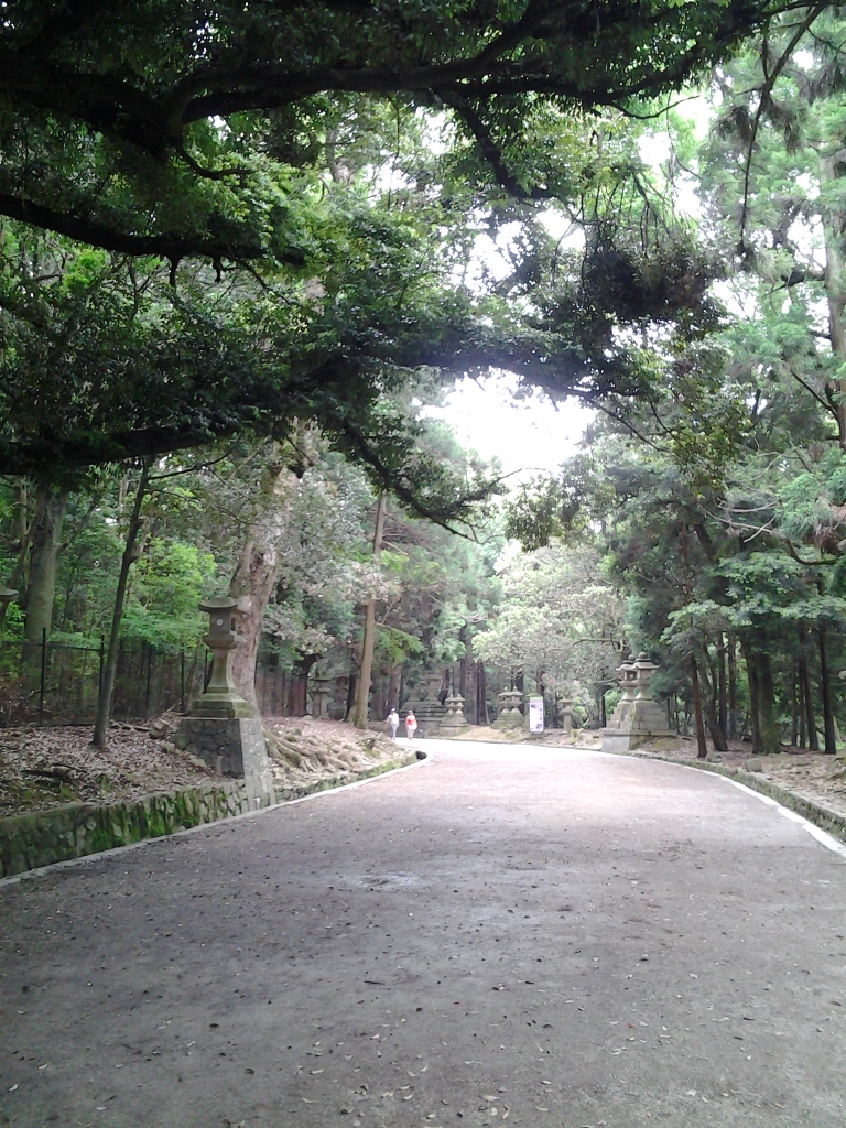 20140527_春日大社