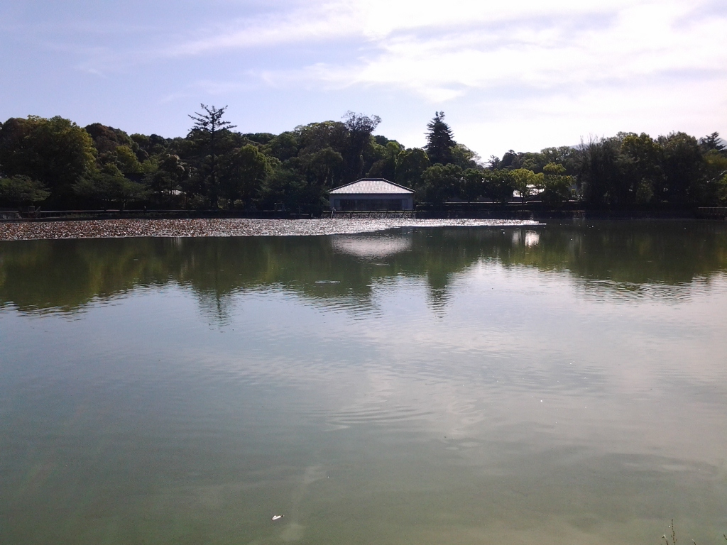 20140528_橿原神宮