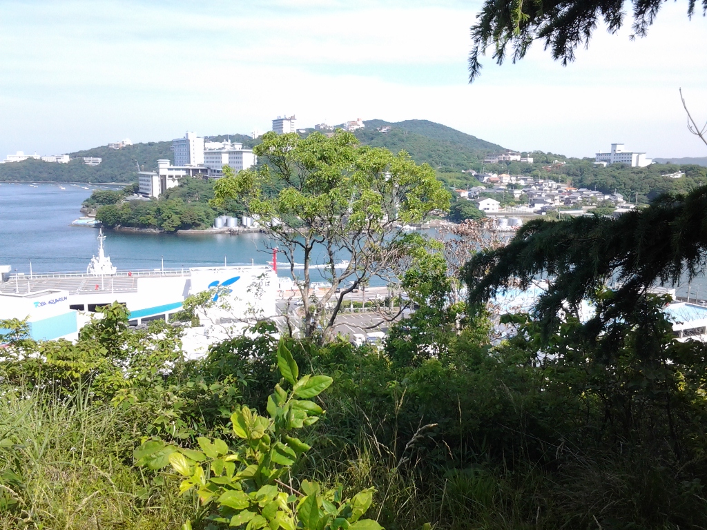 20140528_鳥羽城跡