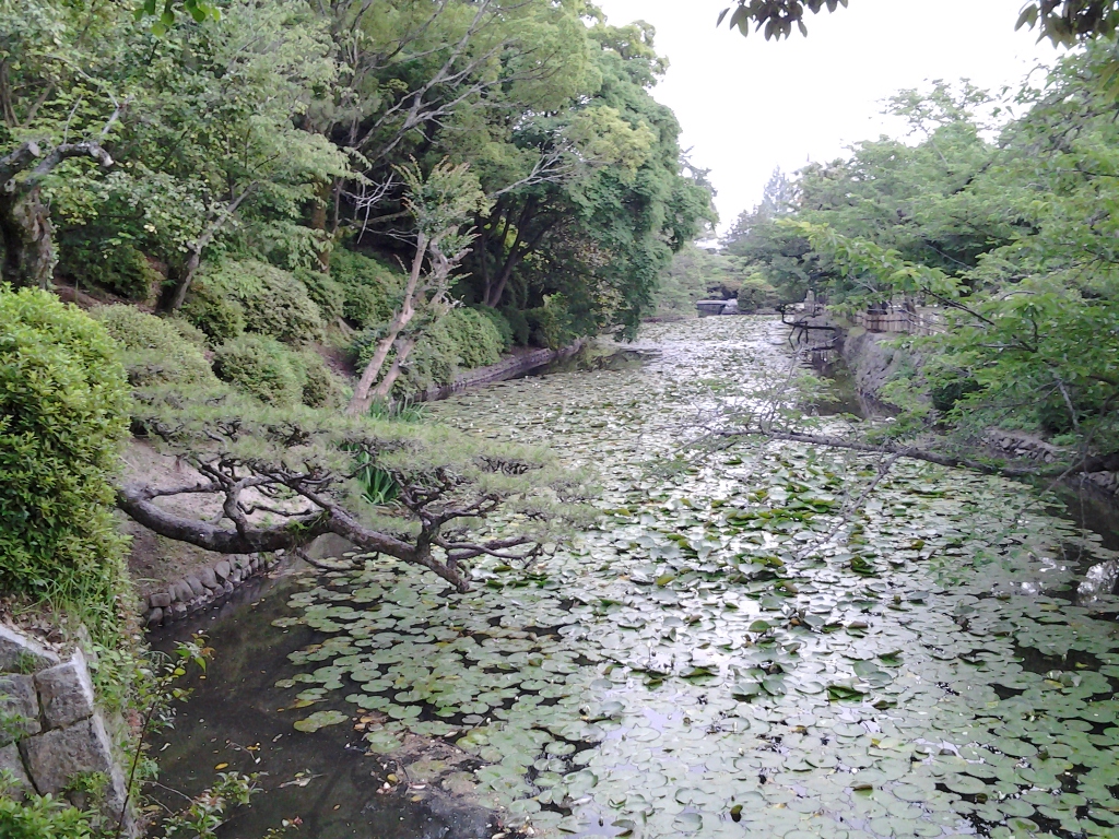 20140614_湯築城(道後公園)