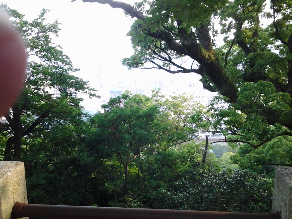 20140616_徳島中央公園