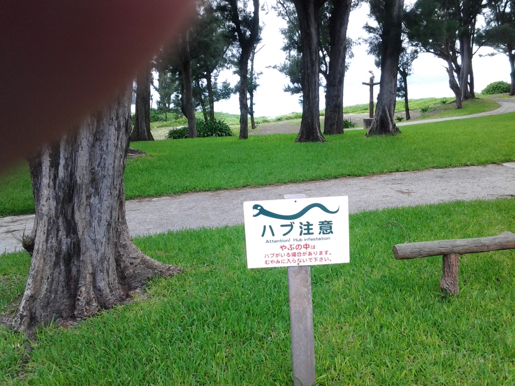 20140618_渡嘉志久ビーチ