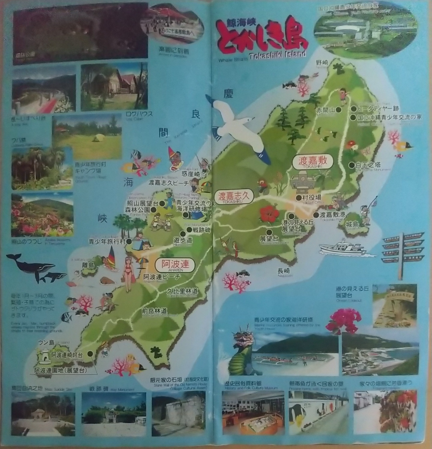 20140618_渡嘉敷島