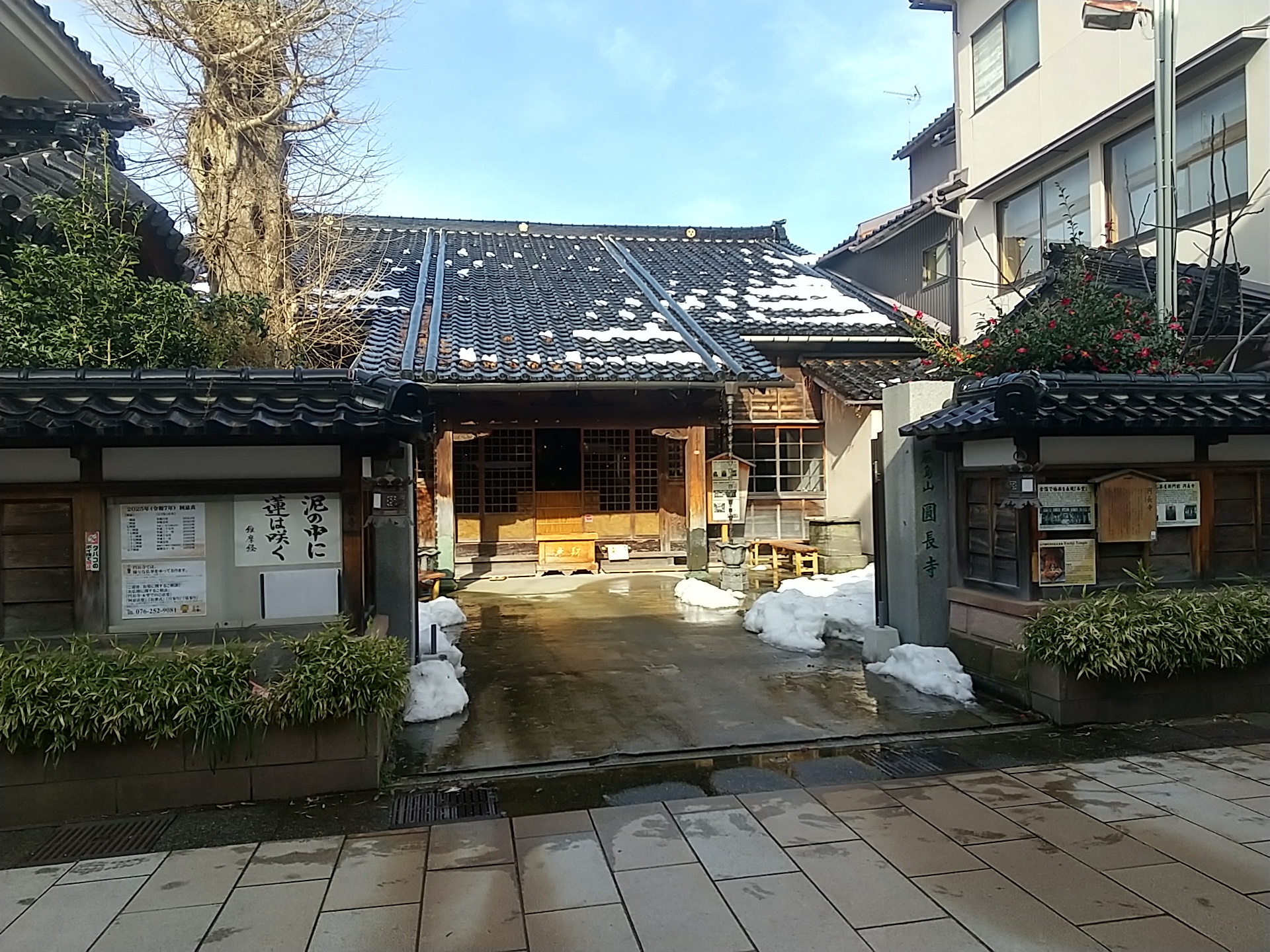 20250216_円長寺