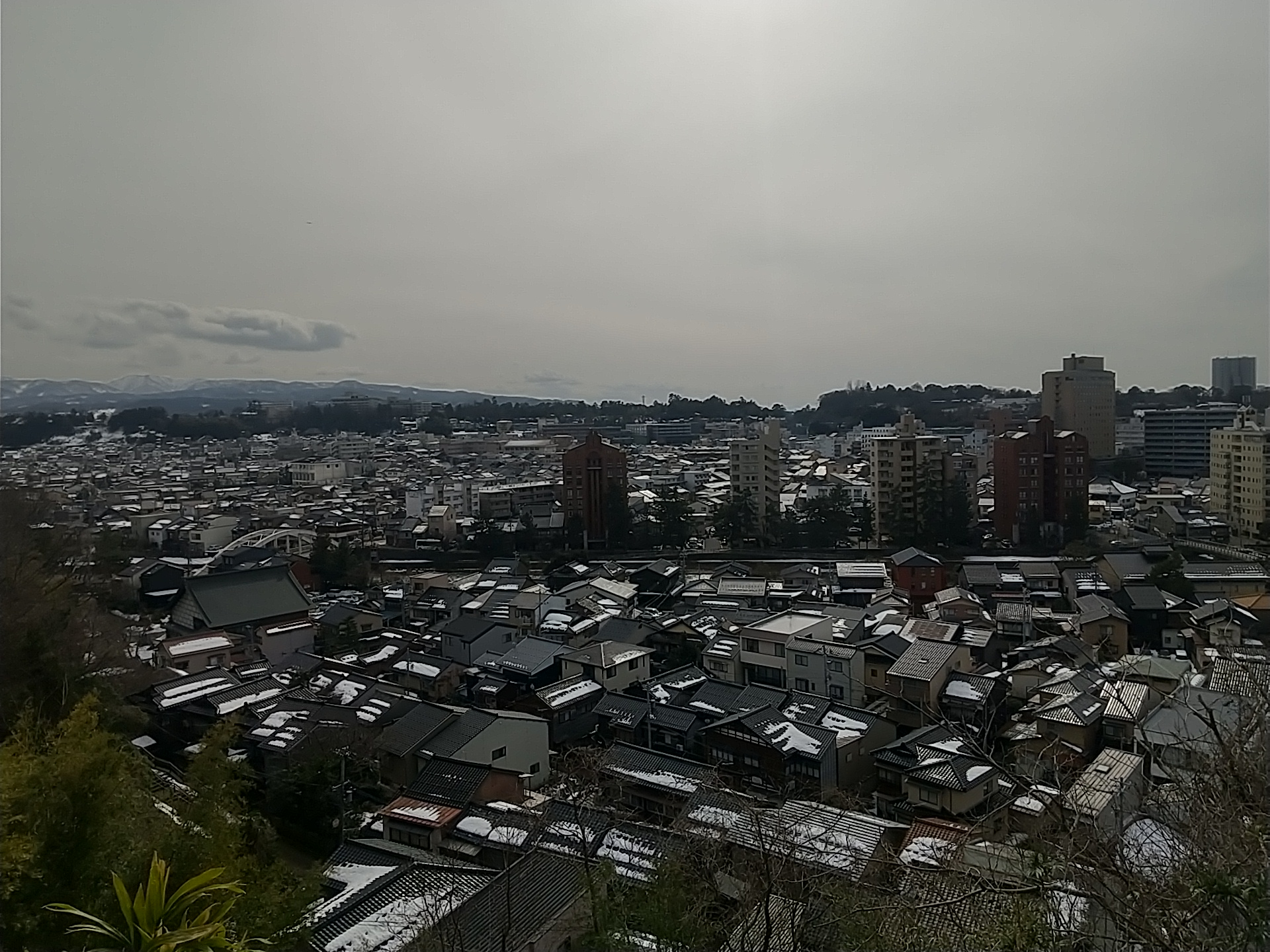 20250216_卯辰山麓子来町緑地先