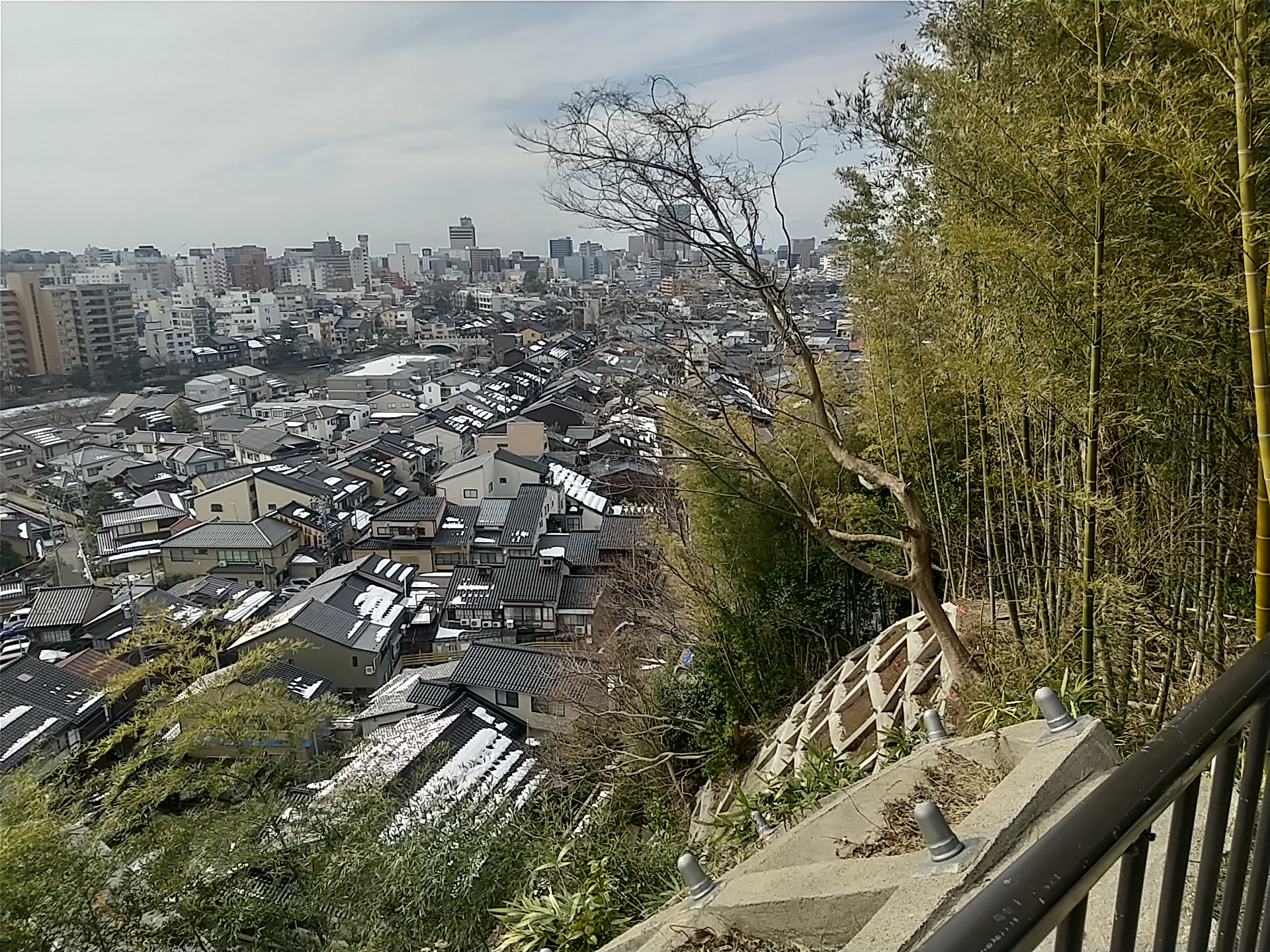 20250216_卯辰山麓子来町緑地先