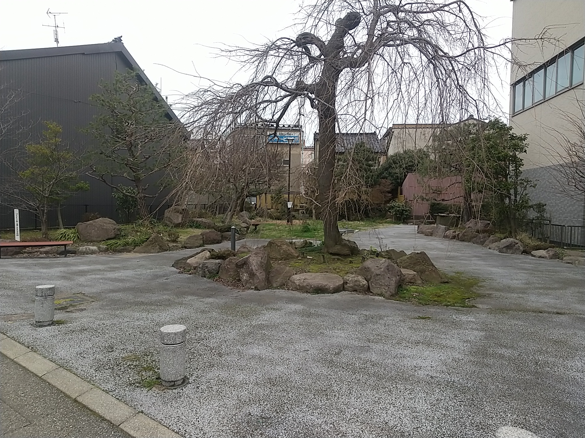 20250320_長町２丁目緑地
