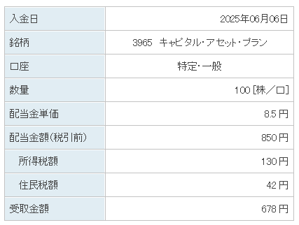 202506_キャピタル・アセット・プラン