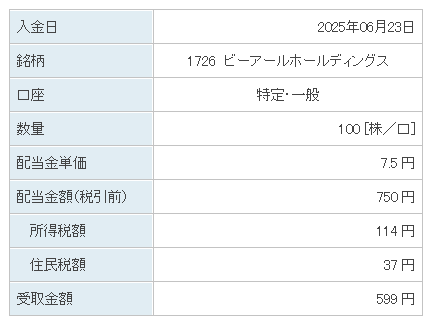 202506_ビーアールホールディングス