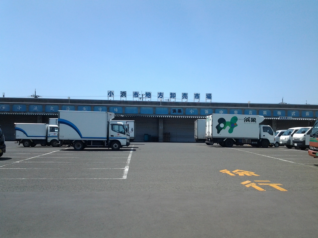 20140511_小浜市地方卸売市場