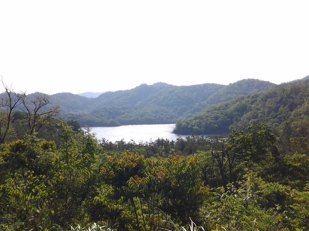 20140513_多鯰ヶ池