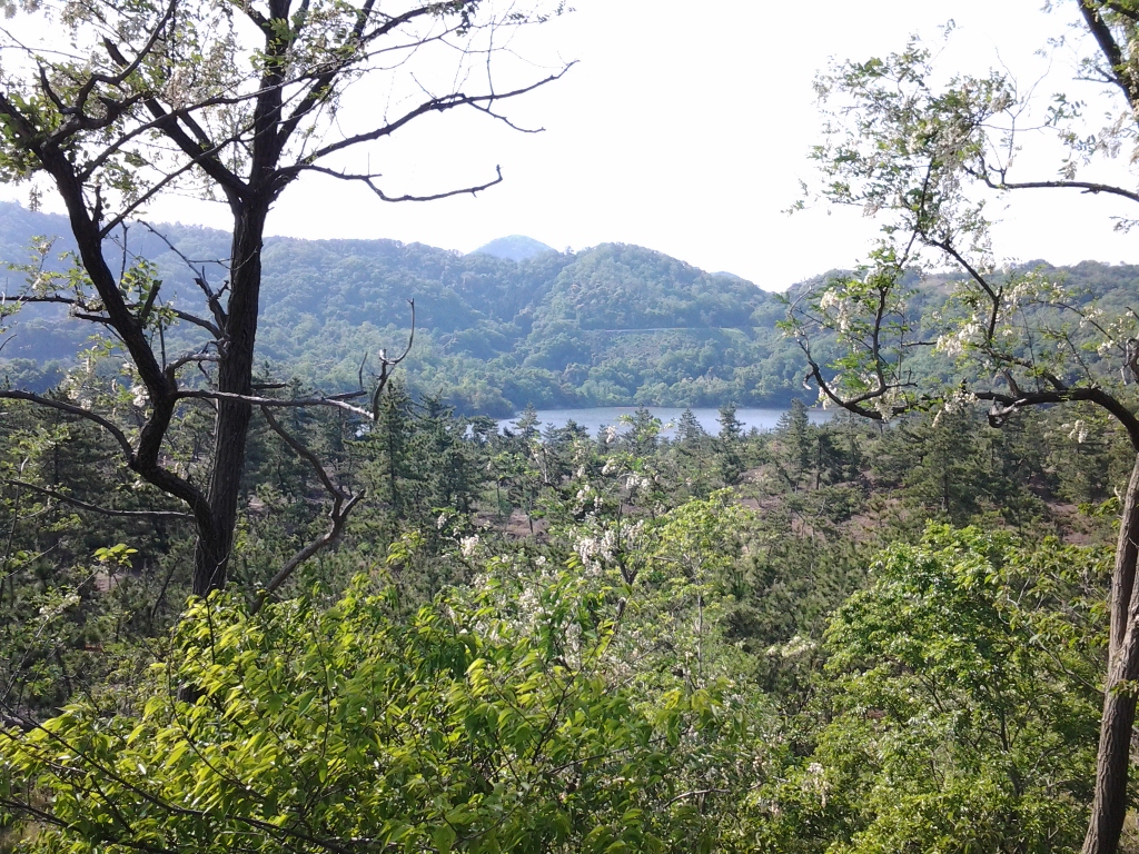 20140513_多鯰ヶ池