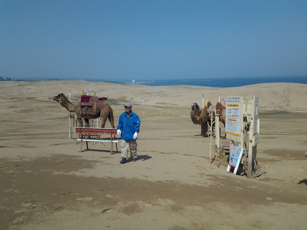 20140513_鳥取砂丘