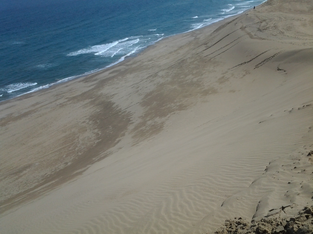 20140513_鳥取砂丘